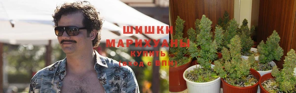 mdpv Верея