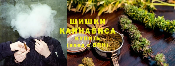 ГАЛЛЮЦИНОГЕННЫЕ ГРИБЫ Верхний Тагил